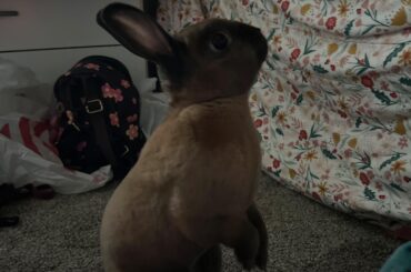 Missing my curious boy on vacation