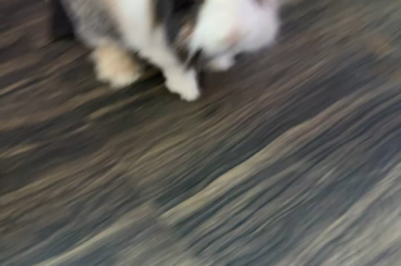Help me