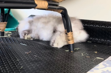 What's she dreaming about?