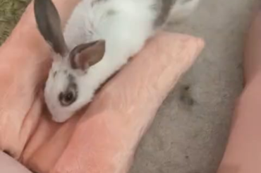 Finally caught it on camera