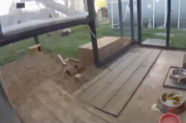 Have our bunnies unbonded?