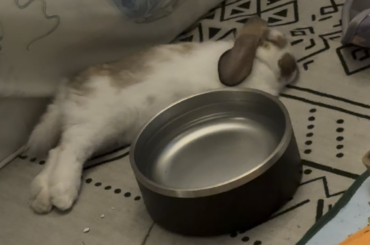 Is he dying? This is the first time I’ve seen him like this
