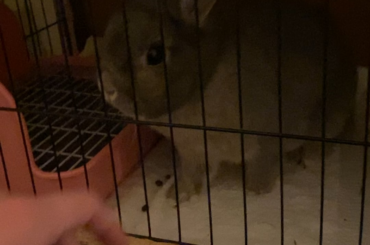 Behavior Question