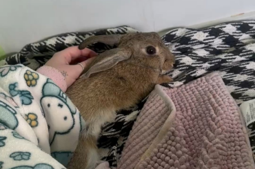 My bun my bun my bun 🥹
