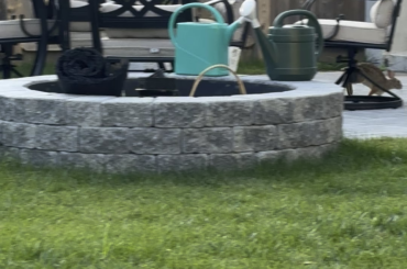 Caught this lil mama nursing in our backyard