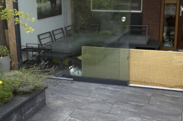 Patiently waiting until dad comes home from worm