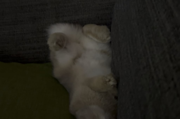 What do I do here?
