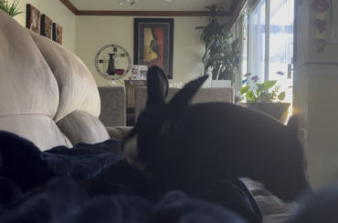 Best part of my morning.