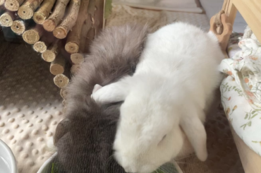 Would you just look at them 😭