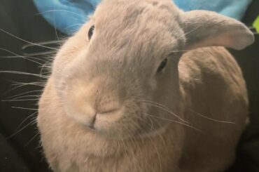 Just my sweet little guy saying hello! 👋🏼