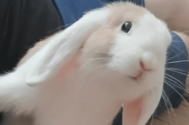 I think he's happy here