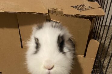 Peek-A-Boo!