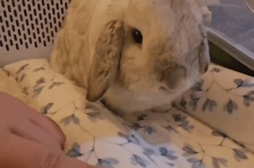 Just showing of Momo's sweet side <3