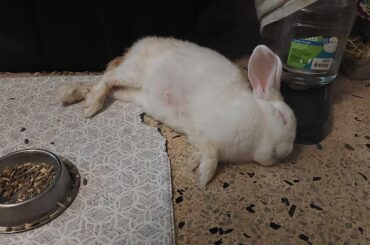 May she sleep in peace