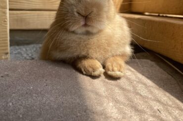What a gentleman 🥹