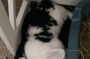 He fits perfectly🥹