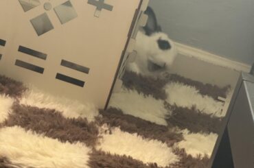 Help I’ve fallen and can’t get up🤣