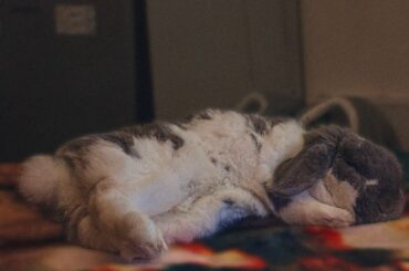 My most sleepy boy 🙌