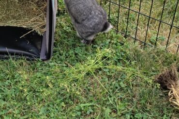 Her first time outside