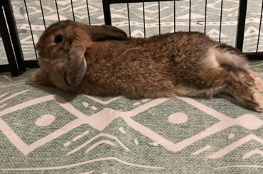 Name suggestions?