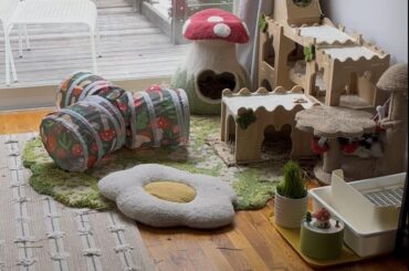 I spy with my little eye: 1 bunny  & <17 mushrooms