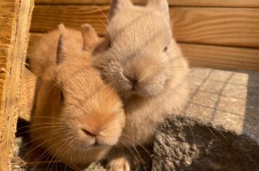 Chip and Teddy 🥰