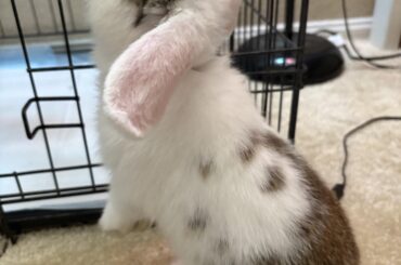 Name suggestions?
