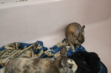 Bonding progress?