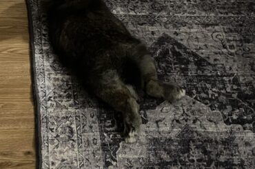 Bunny booty!