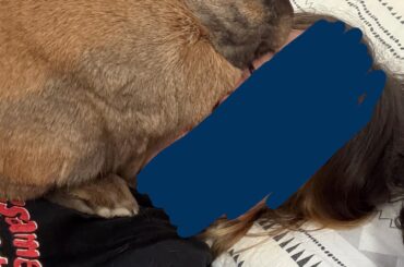 sure you can sleep here lil boy