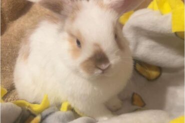 needing advice for my special boy
