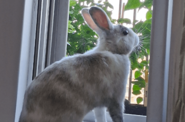 Lil Man checking out his garden