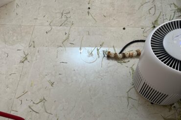 SAVE ME 🥲 (robot vacuum cleaner)