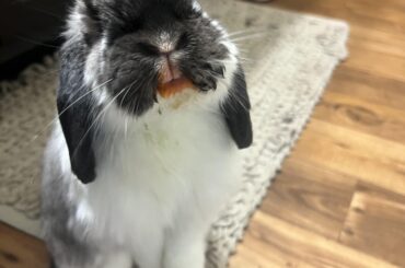 Dirty mouf 👉🏼🥺👈🏼