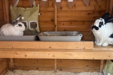 Penny and Milo are having marital problems