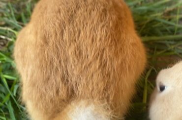 What a great angle Teddy :’)