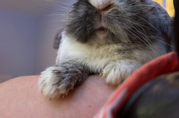 Granite after his meds