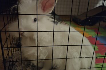 You moved an inch and you scared me. How dare!