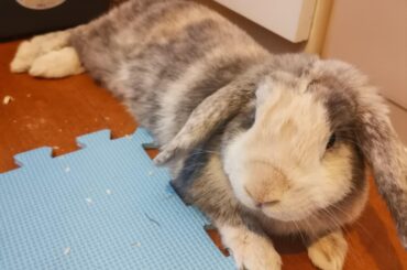 After breakfast noodle