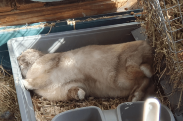 There's a bed right there...