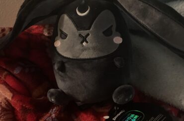 I love plushies when get spooky bunny one is adorable