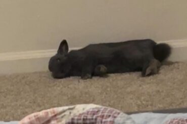 Always chilling just like his pops