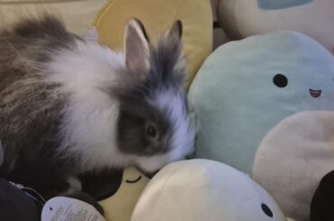 Looking for advice