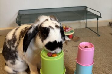 Cup stacking bun