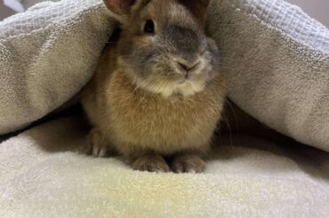 Update on Churro