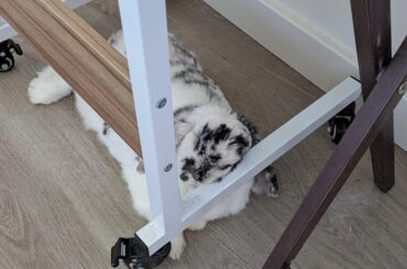 She loves this metal bar