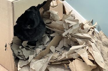 “I need a new forage box. This one exploded.”