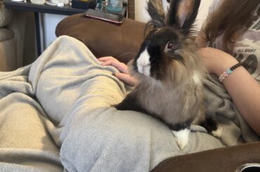 my little bug is gone and i hate this