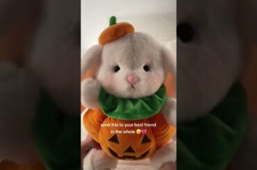 #getahug #halloween #cute #bunny #teddybear #gift #giftideas