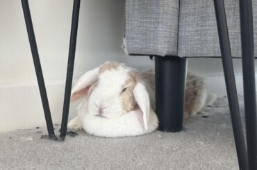 Guess she likes being squished